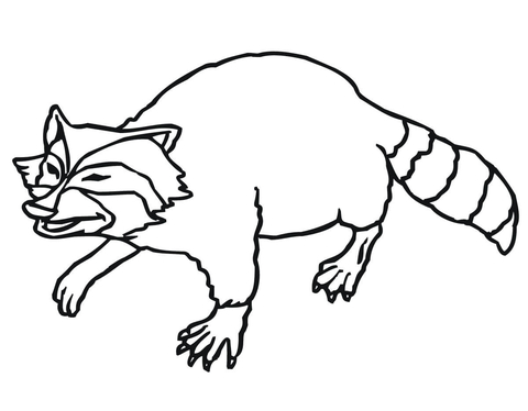 480x374 Smiling Raccoon Coloring Page Free Printable Coloring Pages