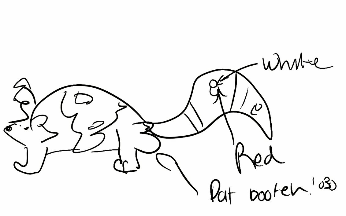 1131x707 A Drawing That Raccoons Did By Wingedshewolf