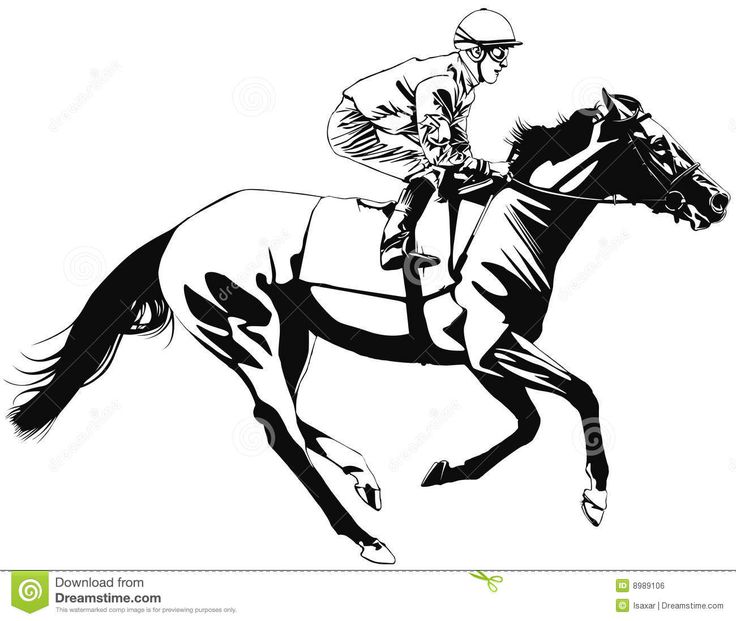 Race Horse Drawing