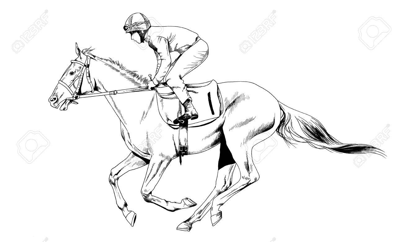 1300x780 Race Horse Without A Harness Drawn In Ink By Hand On White