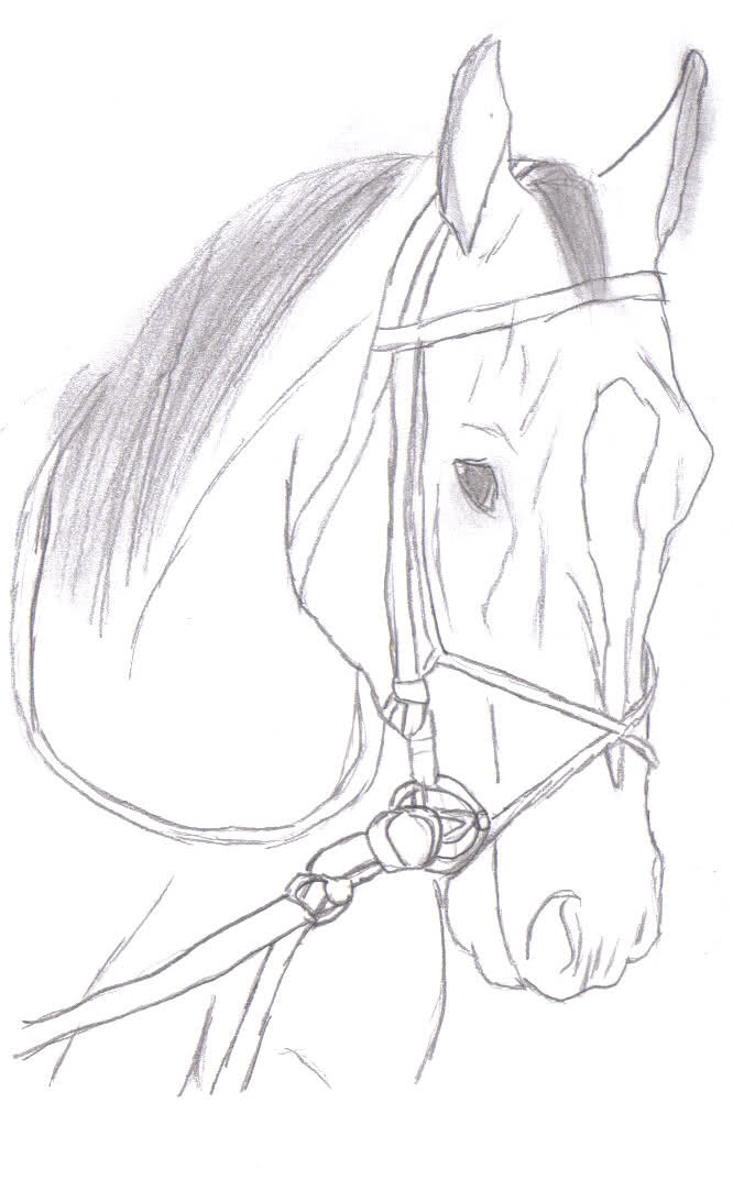 666x1073 My Drawings!!!