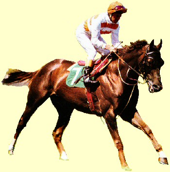 350x356 Red Tempohorse Profile