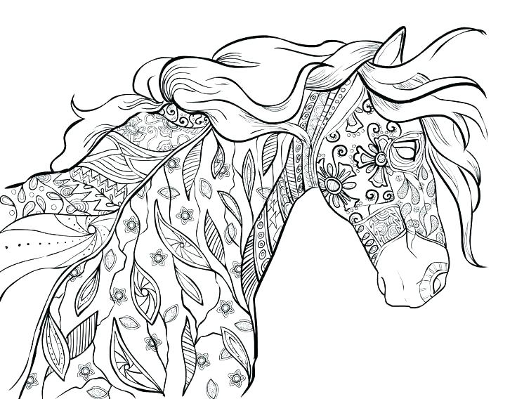 736x568 Barrel Racing Coloring Pages