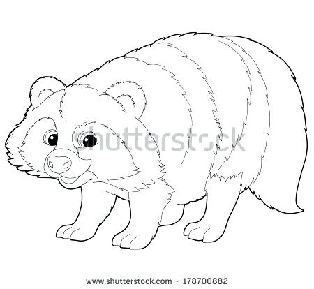 450x414 Racoon Coloring Page Entertaining Coloring Page Fee Raccoon