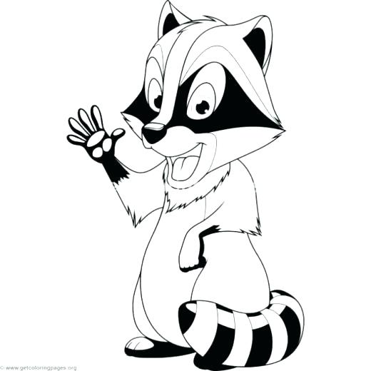 520x520 Racoon Coloring Page Hand Drawn Coloring Pages With Raccoon Head