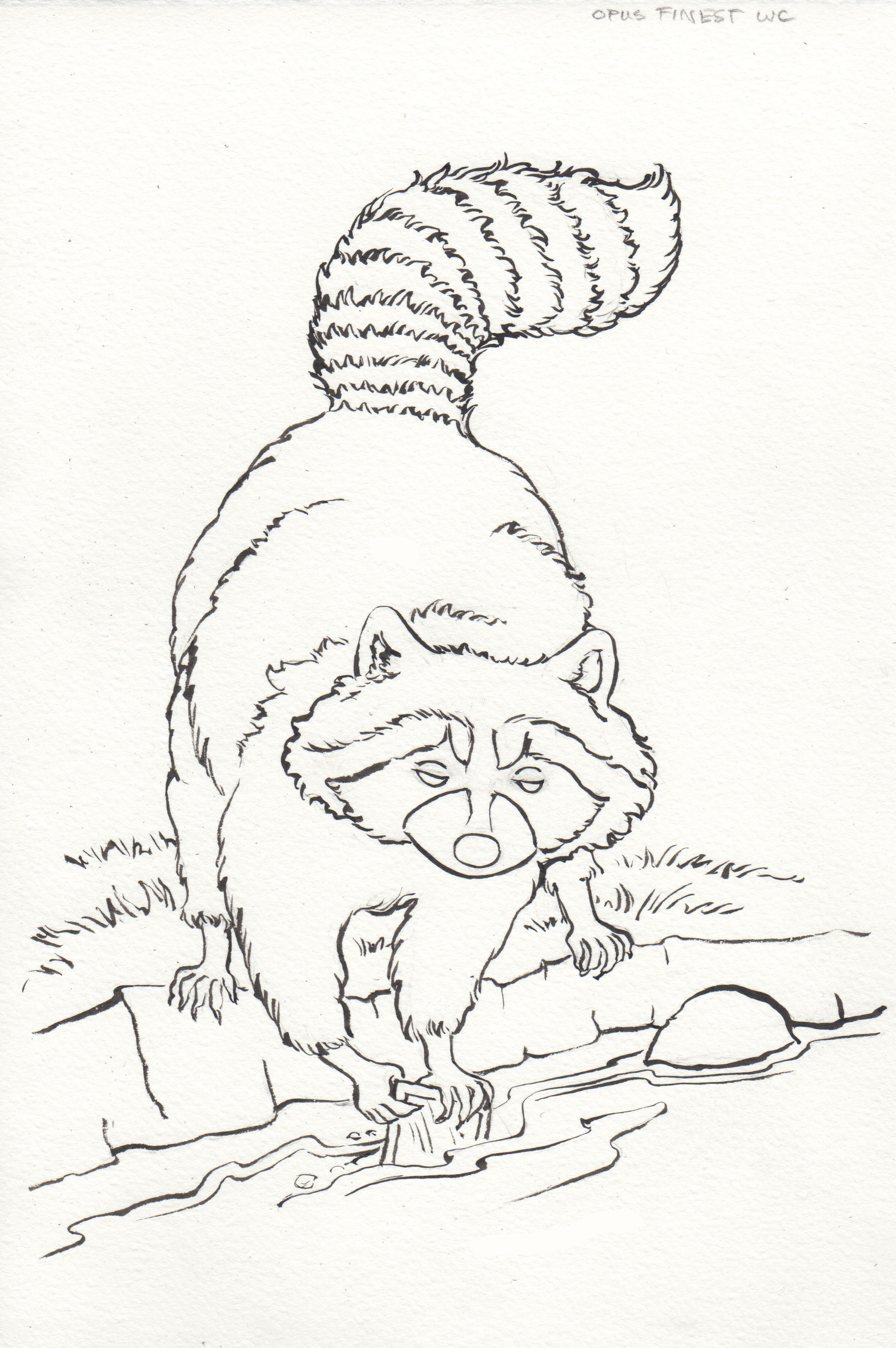 2181x3281 Character Study Renfrew The Racoon Karen Gillmore Art