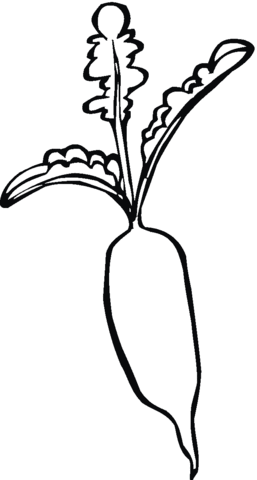 257x480 Radish 9 Coloring Page Free Printable Coloring Pages