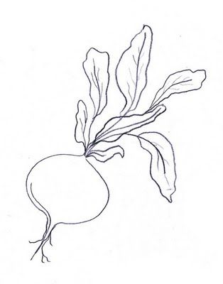 314x400 28 Best Radishes Images On Veggies, Vegetables And Beets