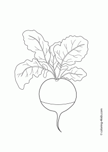 213x300 Radish Vegetables Coloring Pages For Kids, Printable Free