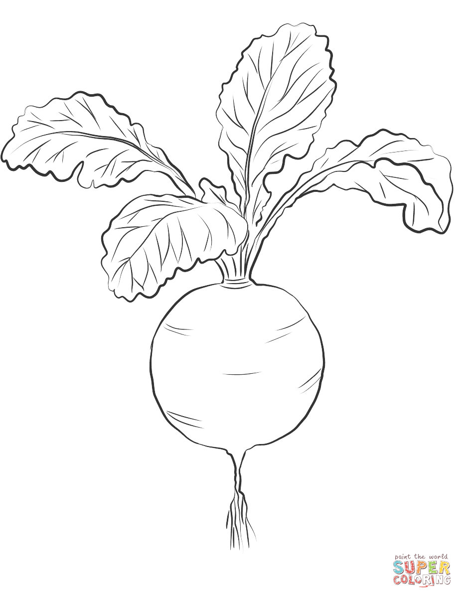 927x1200 Red Radish Coloring Page Free Printable Coloring Pages
