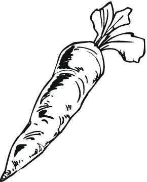 290x360 The Best Carrot Drawing Ideas On Kawaii Bunny