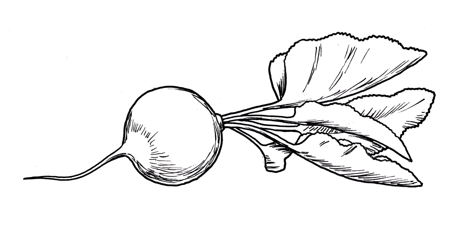 1500x732 Drawing.ideabook.eu Drawings