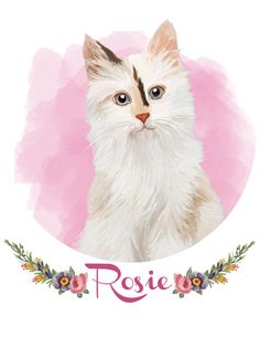 236x305 Ilustrations