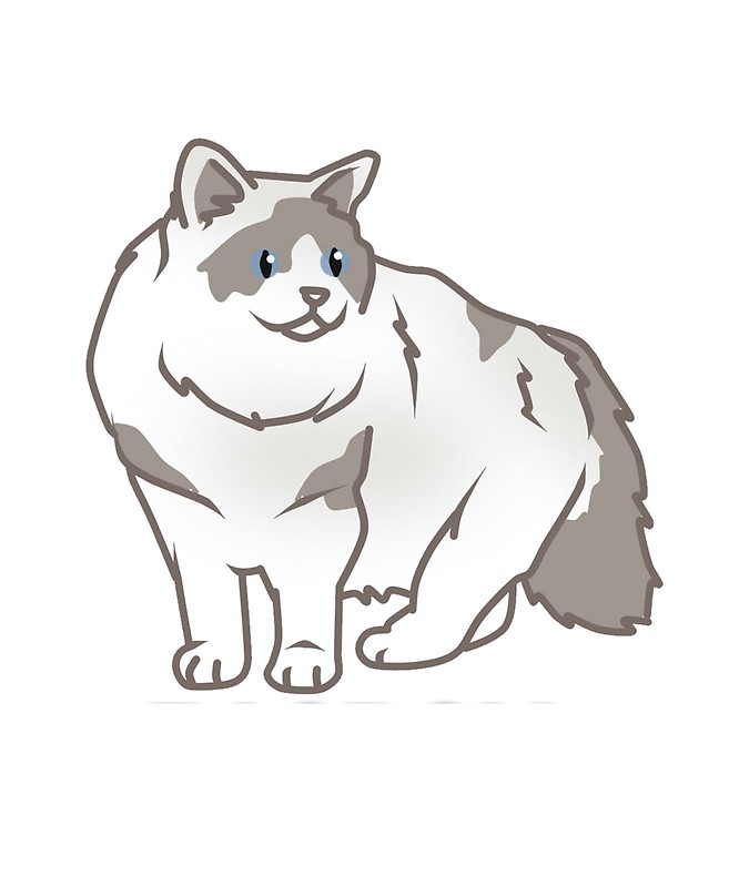 666x800 Ragdoll Cat Greeting Cards By Thrivetee Redbubble