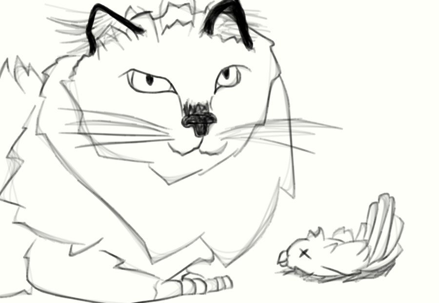 900x622 Realistic Ragdoll Cat Sketch By Ladzlikepie