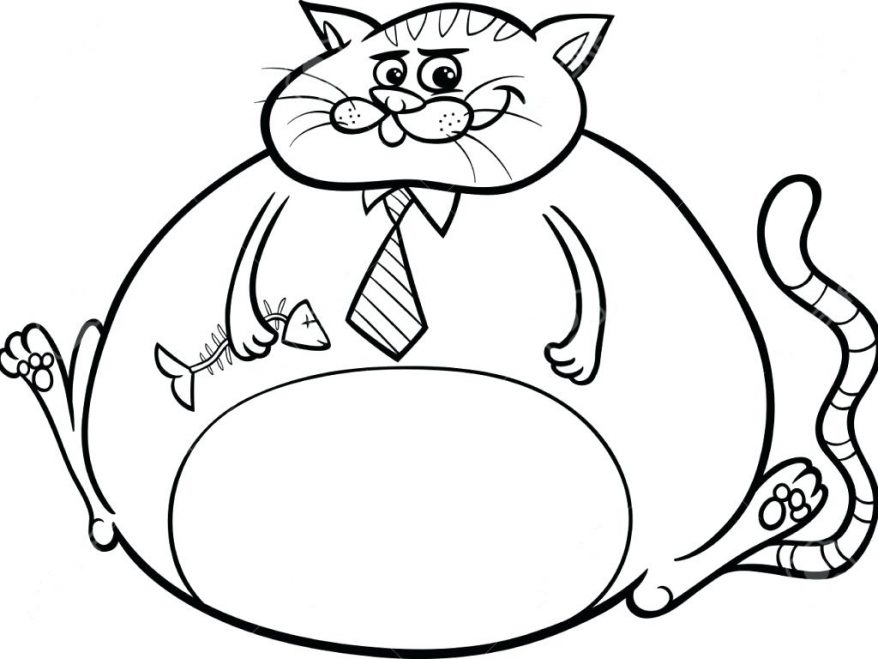 878x659 Download Image 146 Marvellous Cat Coloring Pictures Ragdoll