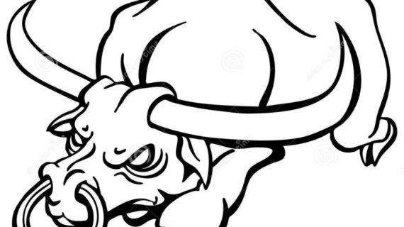 570x320 Drawings Of Bulls How To Draw A Raging Bull Step Step Great Plain