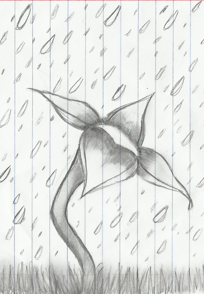 404x582 Little Flower In The Rain By Chaoticpup