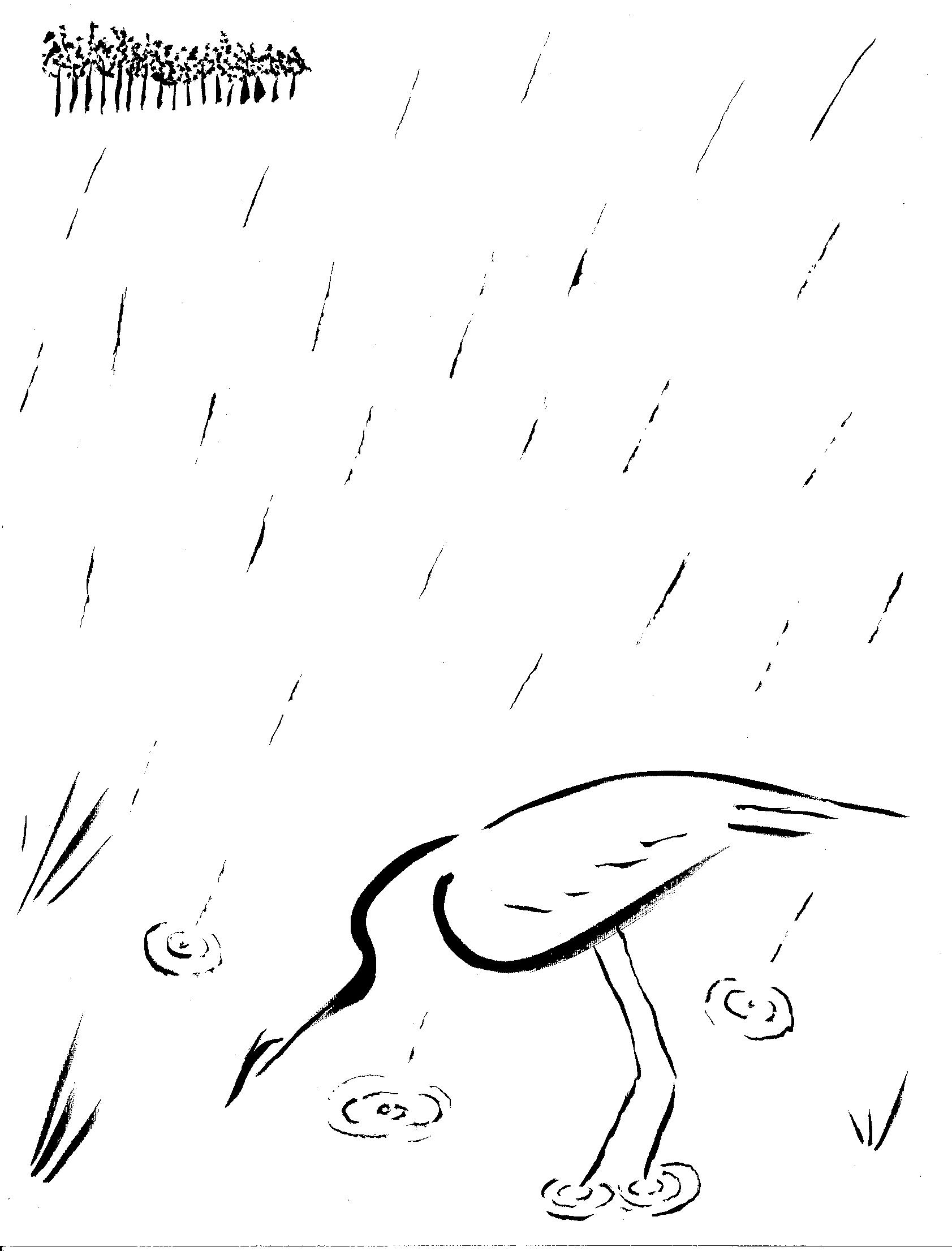 1683x2211 Drawing Nature A Dance Of Balance