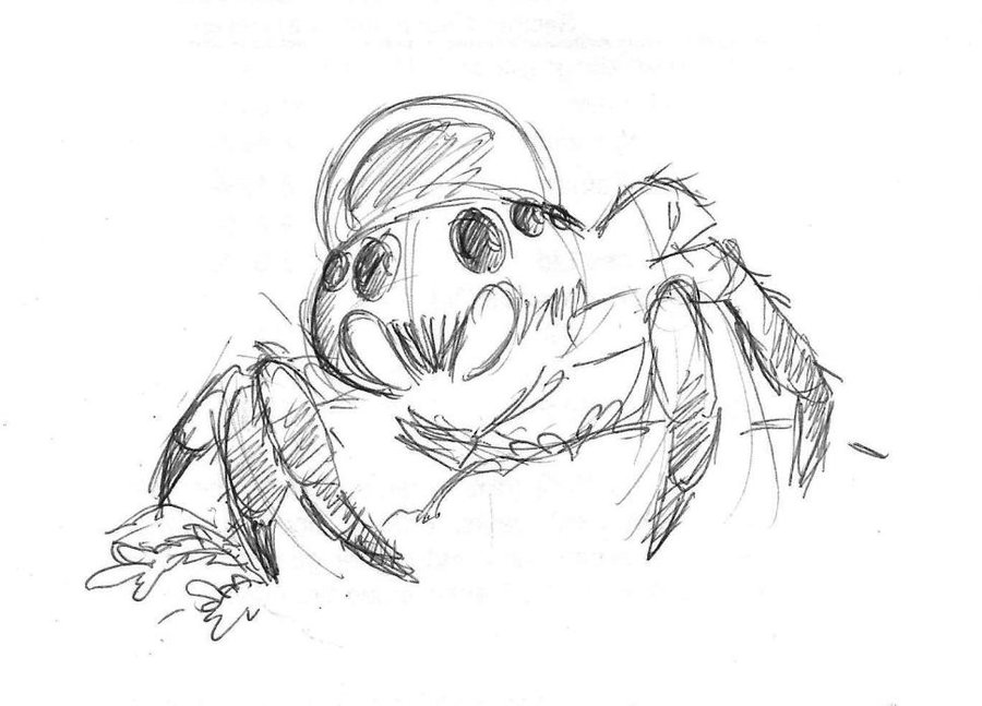 900x647 Spiders Sometimes Wear A Raindrop On Their Head By Winged