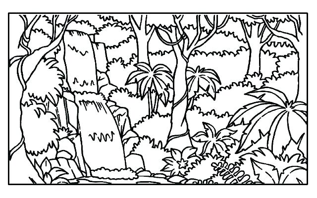 640x400 Tropical Rainforest Coloring Pages Rain Forest Coloring Pages