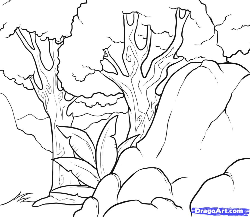 1000x866 Tropical Rainforest Drawing How To Draw A Background, Stepstep