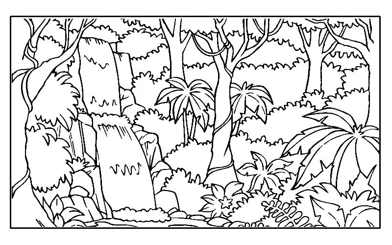800x500 Complete Rainforest Coloring Pages Fee Printable Image 3 Elegant
