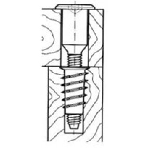 500x500 Buy Kapasi D Nut K25a