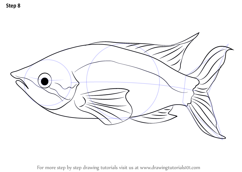 845x599 Learn How To Draw A Rainbow Fish (Fishes) Step By Step Drawing