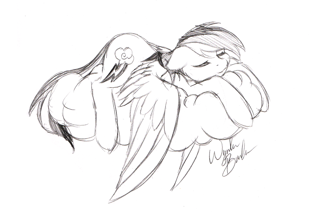 1024x728 Sketch Request