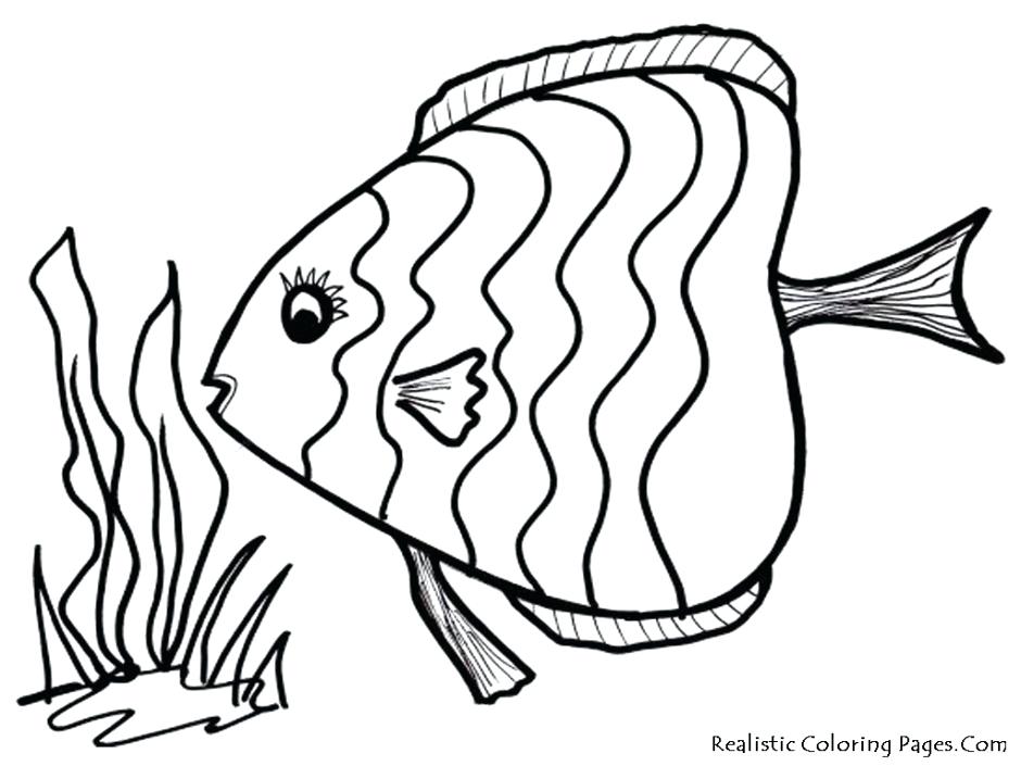 940x705 Rainbow Fish Coloring Page As Well As Rainbow Fish Template