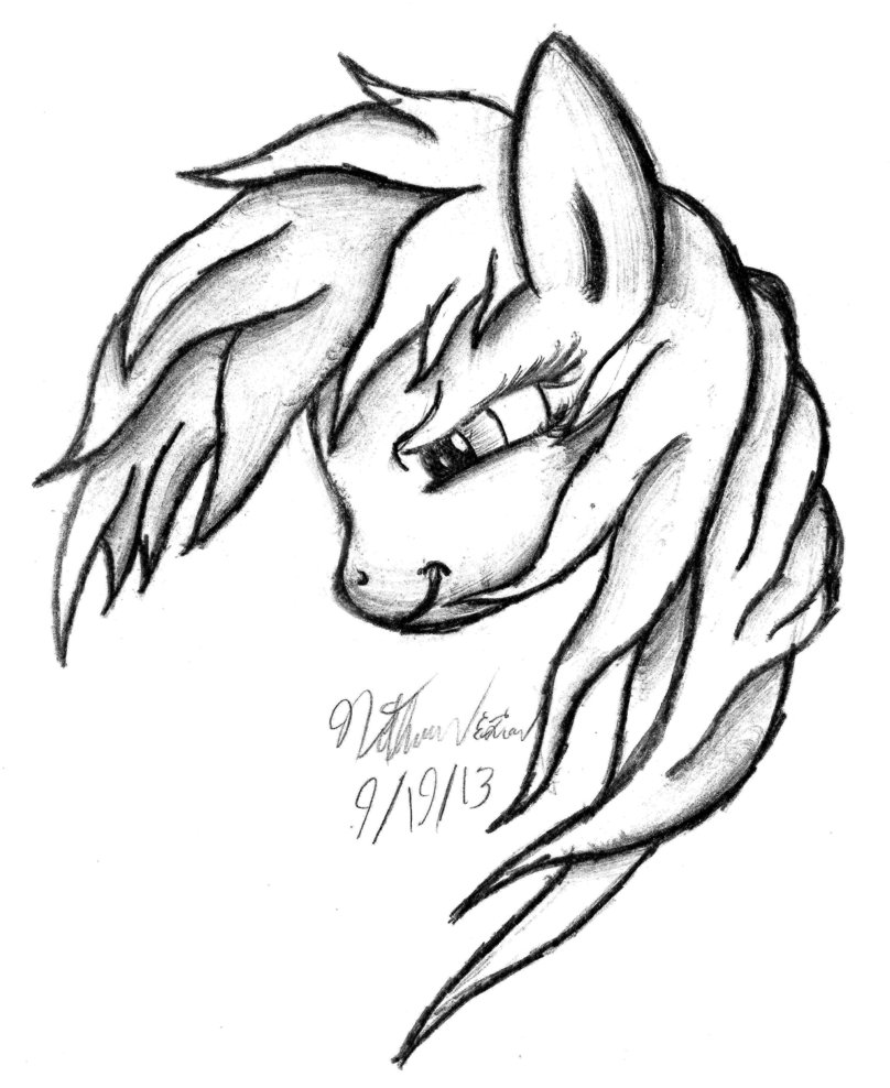 808x988 Rainbow Dash Sketch