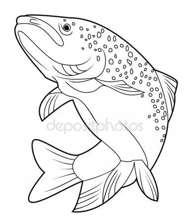 385x450 Trout Stock Vectors, Royalty Free Trout Illustrations