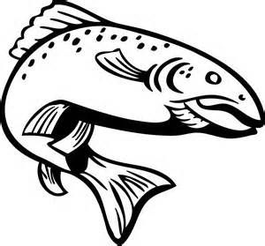 Rainbow Trout Drawing at GetDrawings | Free download