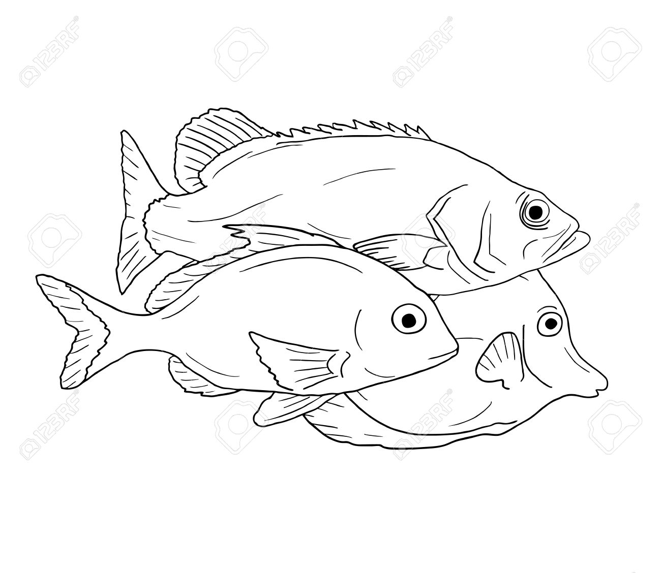 1300x1128 Draw Fish Royalty Free Cliparts, Vectors, And Stock Illustration