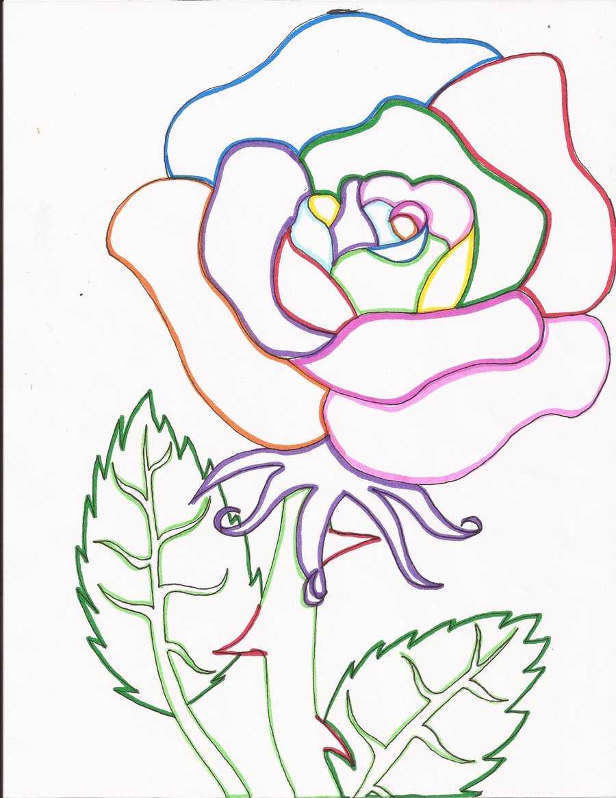 900x1165 Rainbow Rose Line Art By Day Week