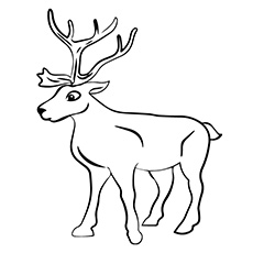 230x230 Top 20 Free Printable Reindeer Coloring Pages Online