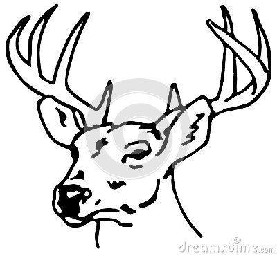 400x370 Drawing Of A Reindeer Eps By Strandtube, Via Dreamstime