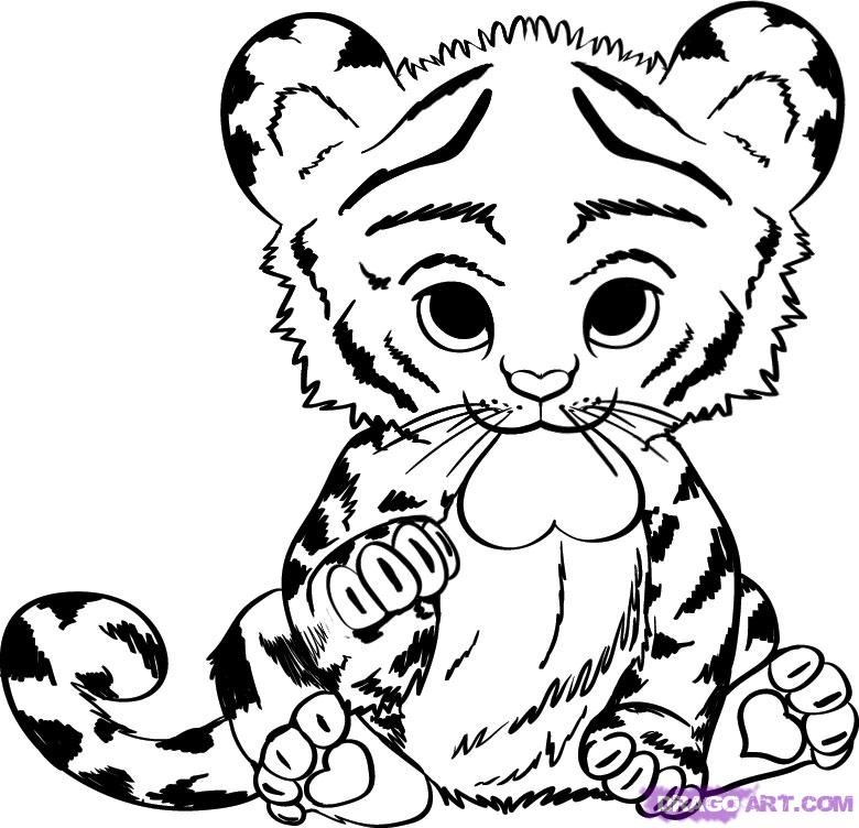 780x752 Dragoart Cute Coloring Pages How To Draw A Baby Tiger Step 8