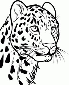 236x292 How To Draw A Leopard Head, Step By Step, Rainforest Animals