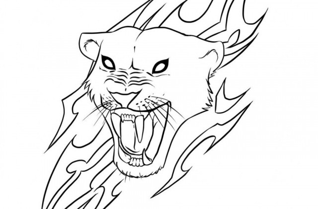 640x420 Tag For Easy To Draw Animals Easy To Draw Realistic Animals