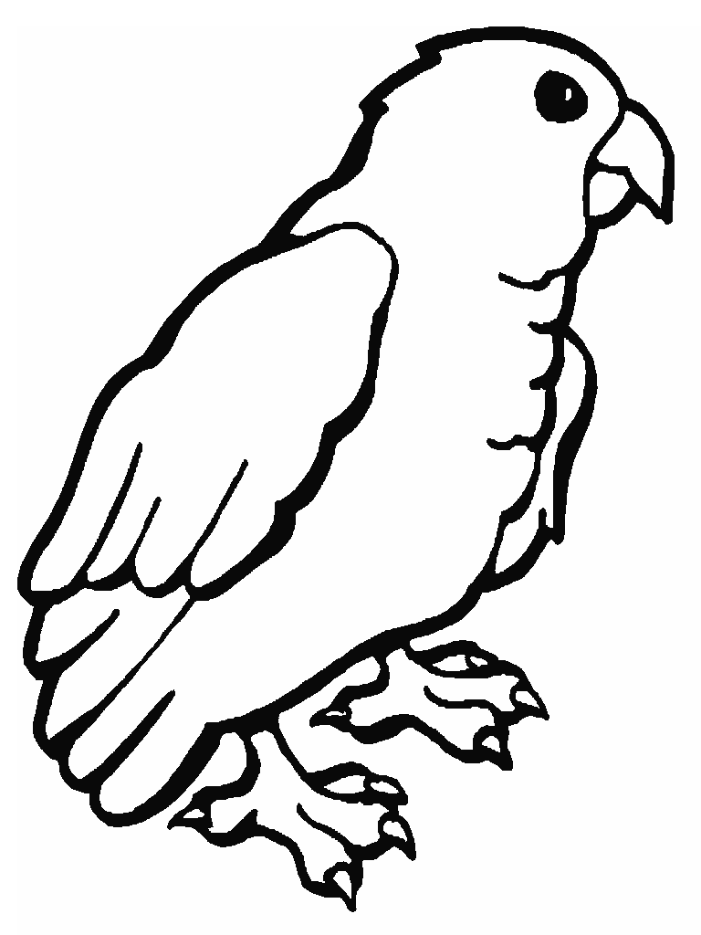 768x1024 Jungle Coloring Pages Free Rain Forest Coloring Pages K 3