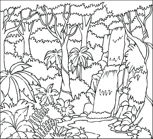 512x463 Rain Forest Coloring Pages Free Coloring Pages Rainforest Animals