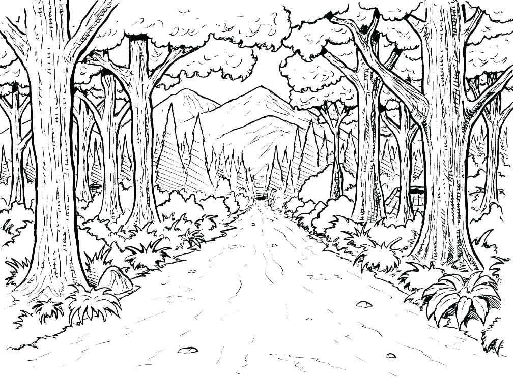 1008x744 Tropical Rainforest Coloring Pages Rain Forest Coloring Pages