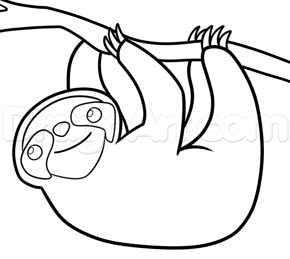 947x847 Sloth Drawing