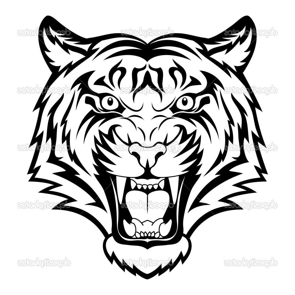 1024x1024 Draw Tiger Face How To Draw A Roaring Tiger, Stepstep, Rainforest