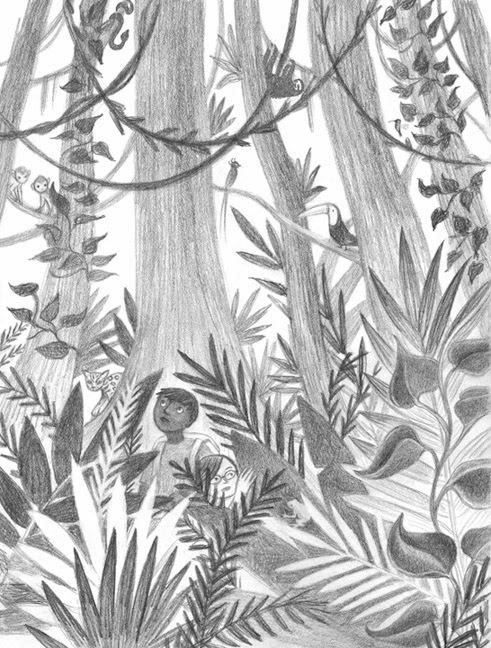 491x648 Drawn Rainforest Jungle