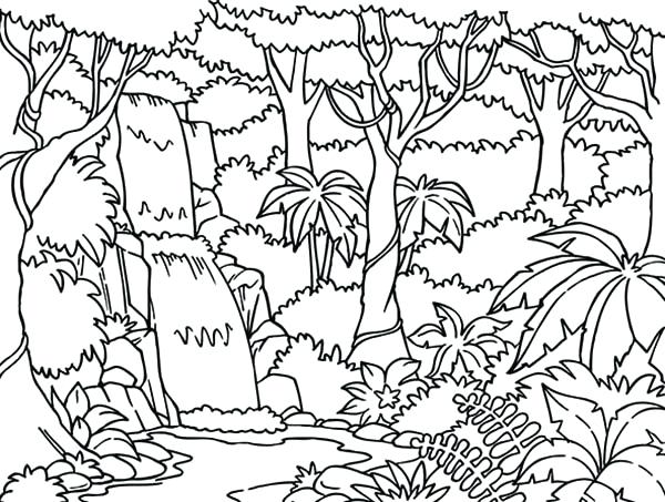 600x453 Rainforest Flowers Coloring Pages Waterfall In The Forest Page