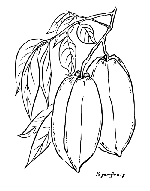 500x638 Art Keeve Neo