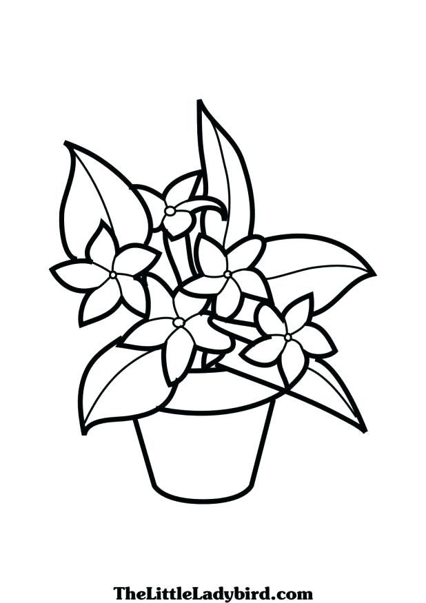 Plants Coloring Pages - Learny Kids